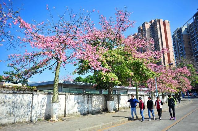 广东23所大学上榜这份最新排名!深大第三,华师第十?广外更后